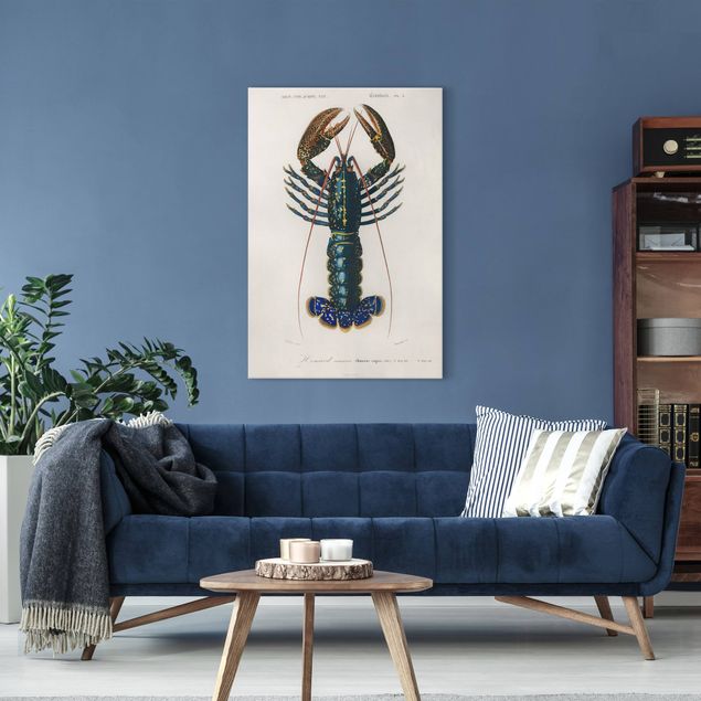 Obrazy do salonu nowoczesne Tablica edukacyjna w stylu vintage Niebieski homar