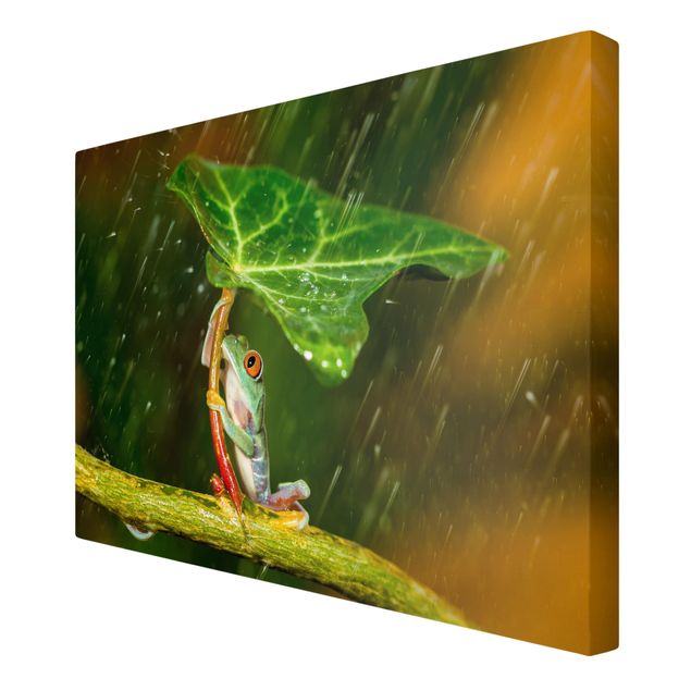 Obrazy kwiatowe Żaba w deszczu