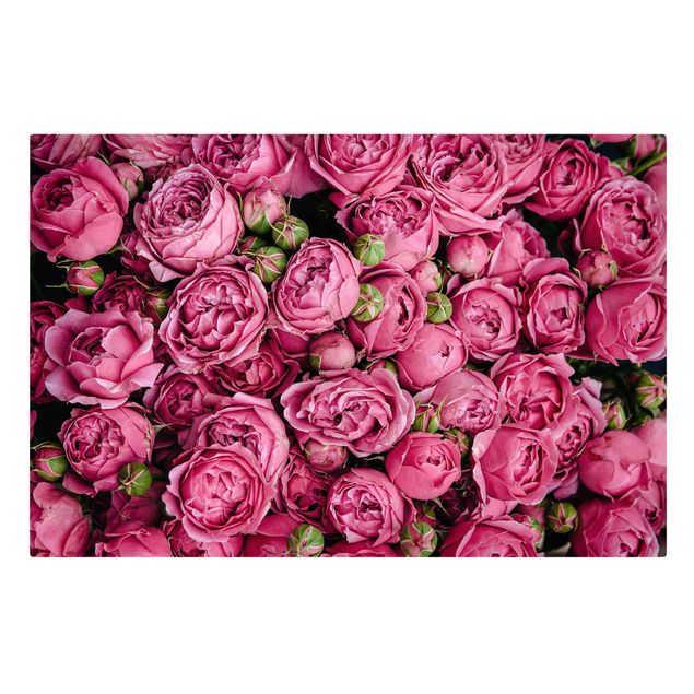 Obrazy kwiatowe Różowe piwonie