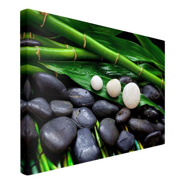 Obrazy bambus Zielony bambus z kamieniami Zen