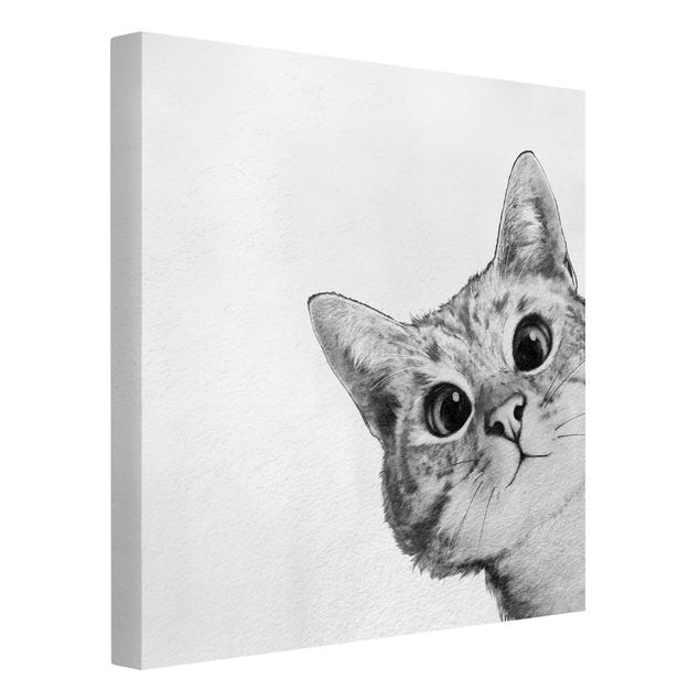 Nowoczesne obrazy Ilustracja kota Rysunek czarno-biały