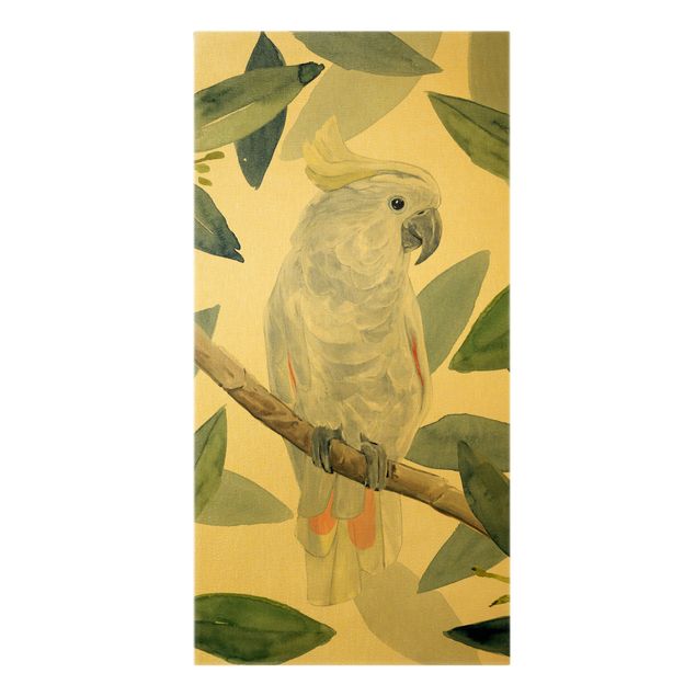 Obrazy pióra Kakadu tropikalna II
