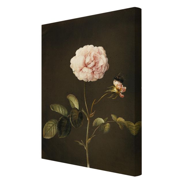 Obrazy motywy kwiatowe Barbara Regina Dietzsch - Róża octowa z trzmielem