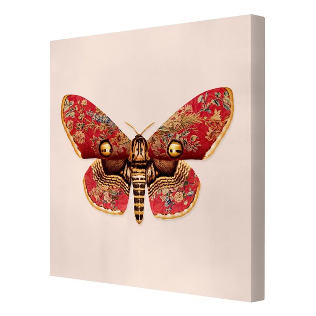 Czerwony obraz Vintage Moth