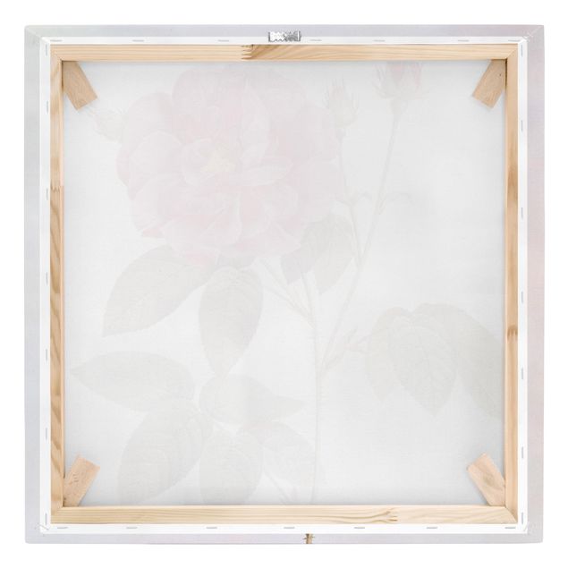 Obrazy motywy kwiatowe Pierre Joseph Redouté - Róża aptekarska
