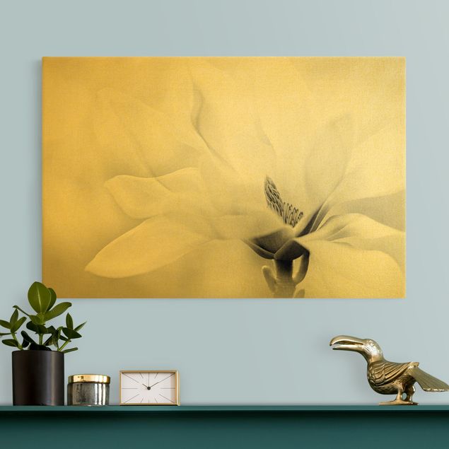 Obrazy do salonu nowoczesne Czarno-biały kwiat magnolii