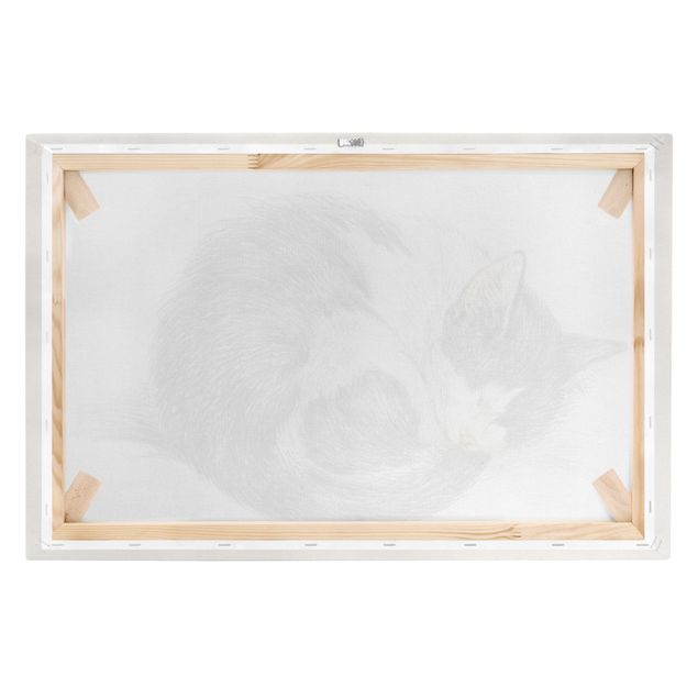 Obrazy na płótnie kot Zabytkowy rysunek kot II