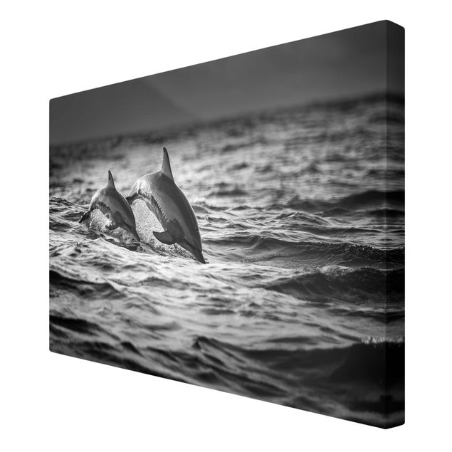 Czarno białe obrazki Dwa skaczące delfiny