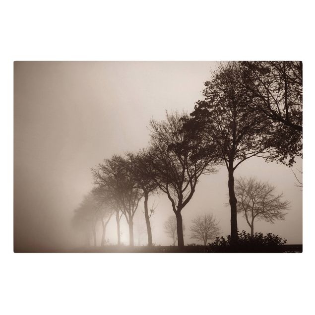 Obrazy krajobraz Aleja drzew w porannej mgle