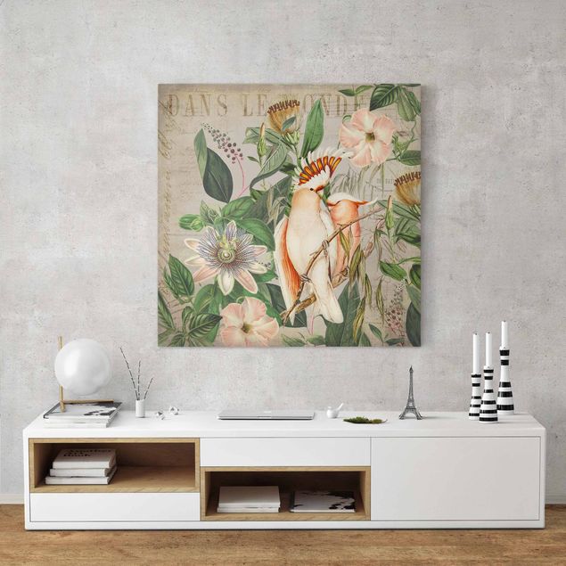 Obrazy zwierzęta Kolaże w stylu kolonialnym - Różowy kakadu