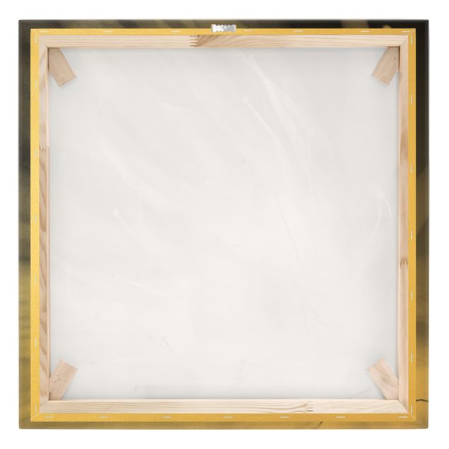 Złoty obraz na płótnie - Blossom Dust Czarno-biały