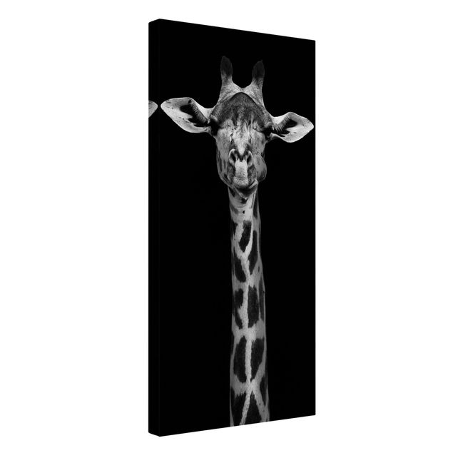 Obrazy ze zwierzętami Portret ciemnej żyrafy