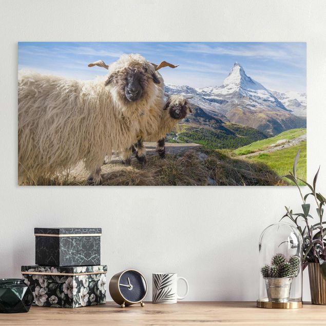 Dekoracja do kuchni Czarnonose owce z Zermatt