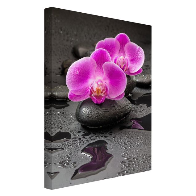 Obrazy do salonu Kwiaty różowej orchidei na kamieniach z kroplami