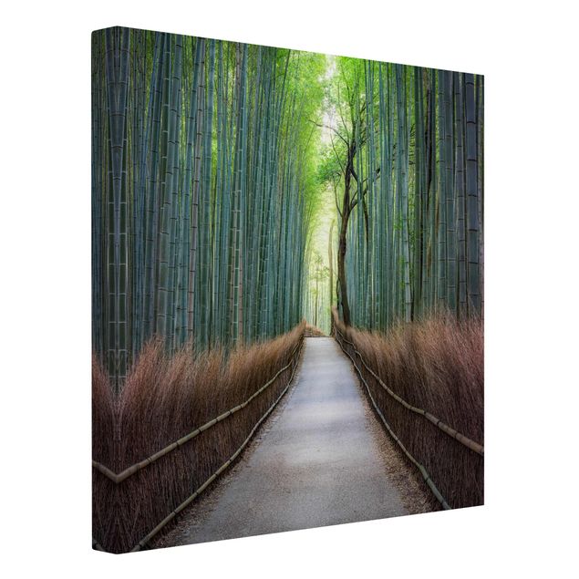 Obrazy krajobraz Ścieżka przez bambus