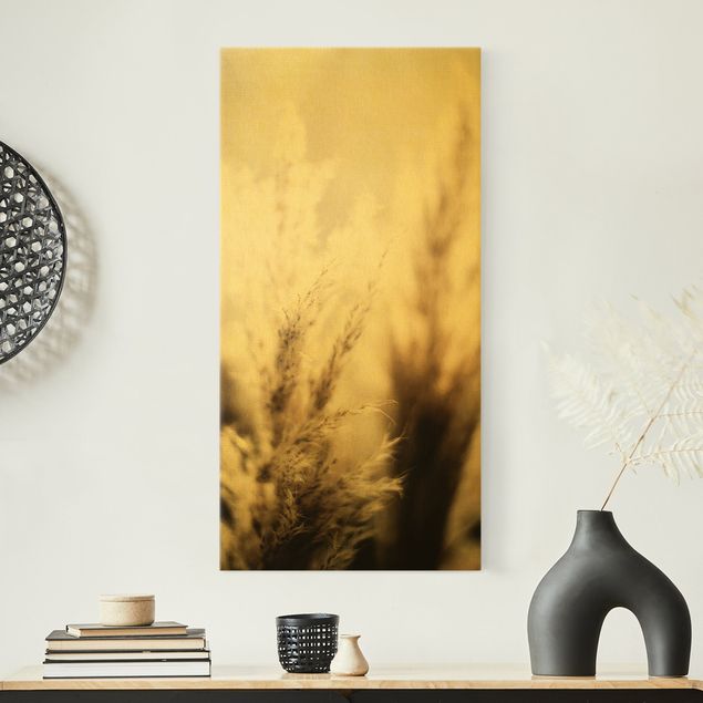 Obrazy motywy kwiatowe Trawa pampasowa w cieniu