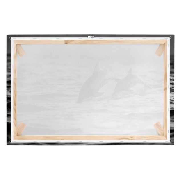 Obraz na płótnie czarno biały Dwa skaczące delfiny