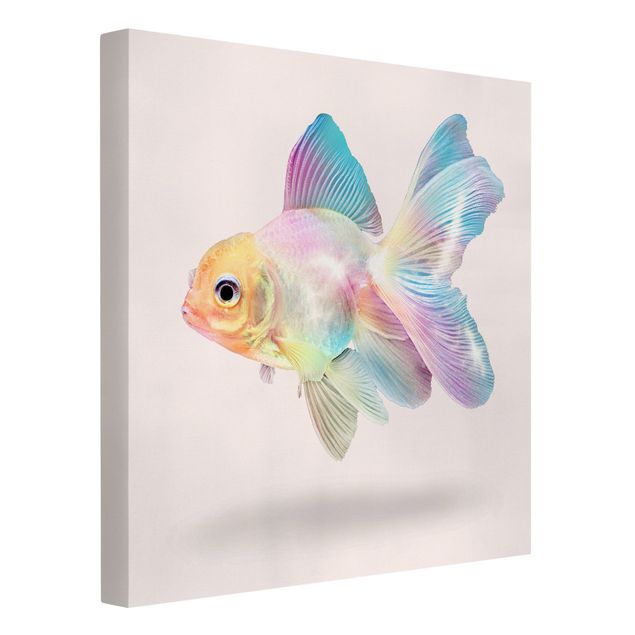 Zwierzęta obrazy Ryby w pastelach