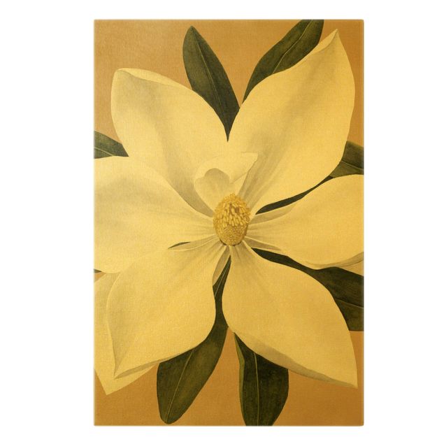 Obrazy na ścianę Magnolia na złocie I