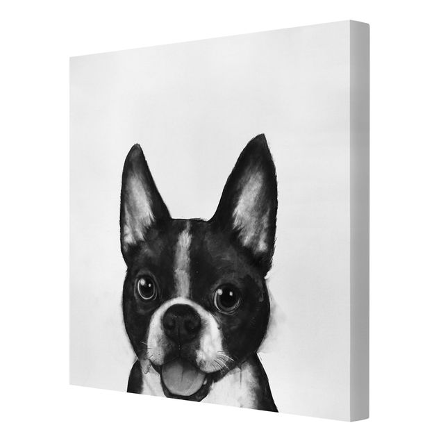 Obrazki czarno białe Ilustracja pies Boston czarno-biały Painting
