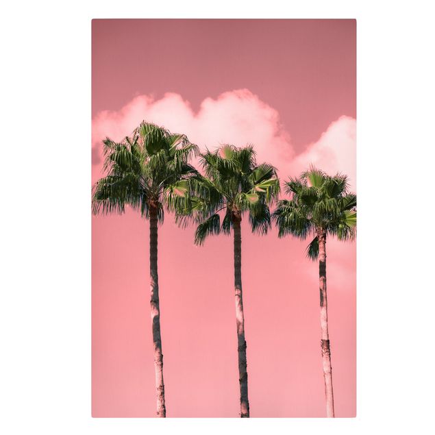 Obrazy z motywem kwiatowym Palmy przed Sky Pink