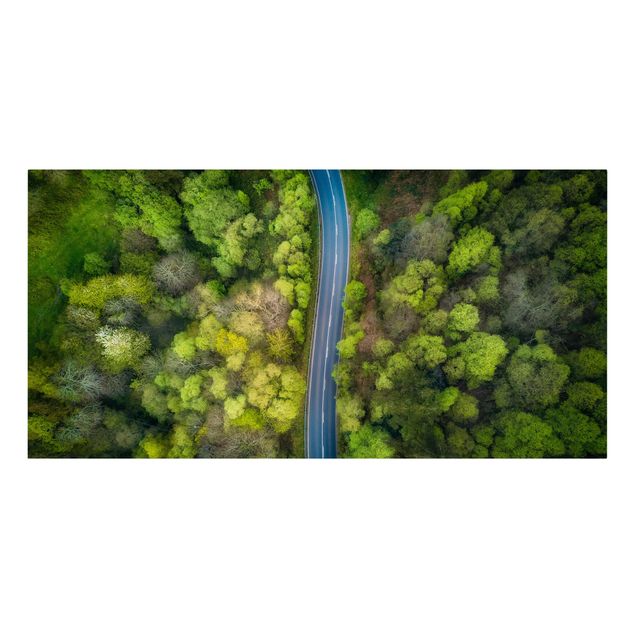 Obrazy krajobraz Zdjęcie lotnicze - Droga asfaltowa w lesie