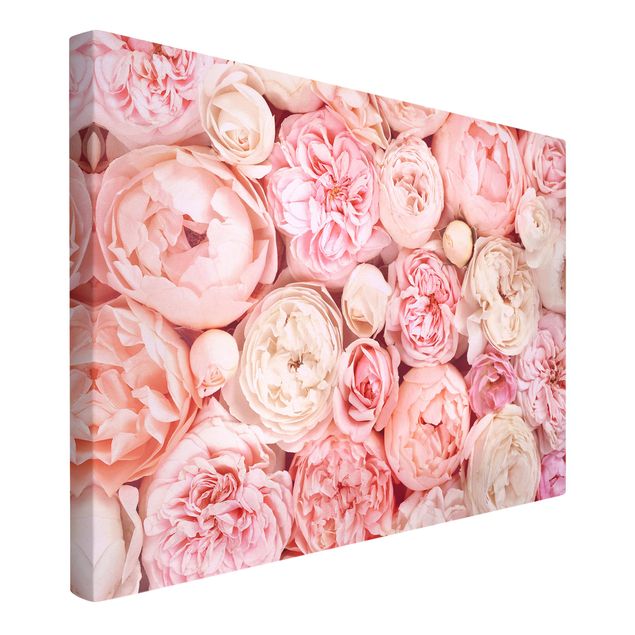 Nowoczesne obrazy Rosy Rosé Coral Shabby