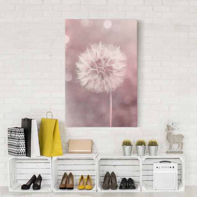 Nowoczesne obrazy do salonu dandelion bokeh różowy