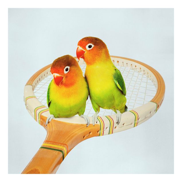 Obrazy zwierzęta Tenis z ptakami