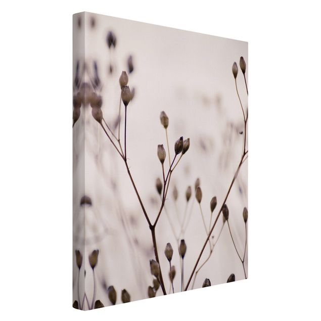 Obrazy z motywem kwiatowym Ciemne pąki na gałęzi dzikiego kwiatu