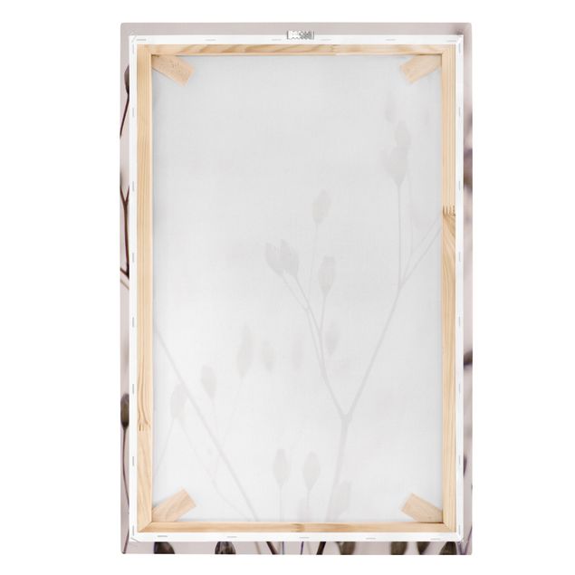 Obraz na płótnie - Ciemne pąki na gałęzi dzikiego kwiatu