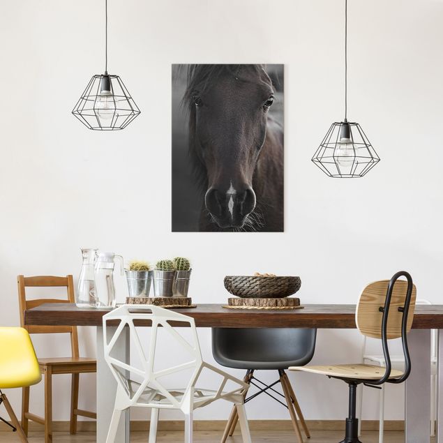Nowoczesne obrazy do salonu Czarny koń