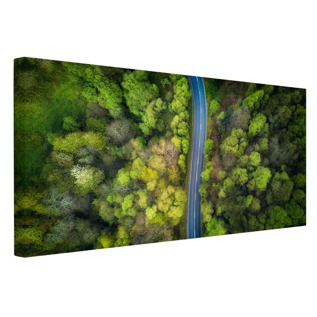Obrazy drzewa Zdjęcie lotnicze - Droga asfaltowa w lesie