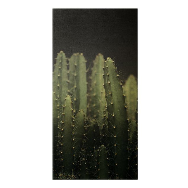 Obrazy kwiatowe Kaktus pustynny nocą