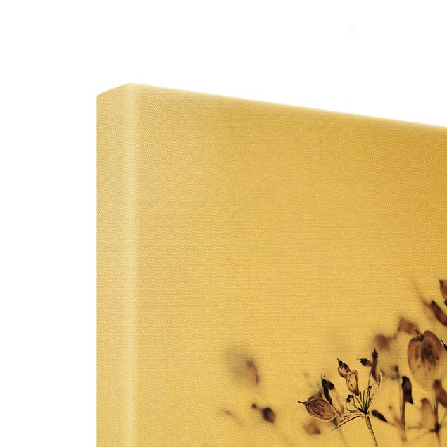 Złoty obraz na płótnie - Makro ujęcie suszonego kwiatu w cieniu