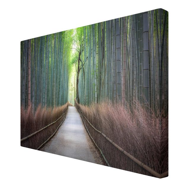 Obrazy na płótnie bambus Ścieżka przez bambus