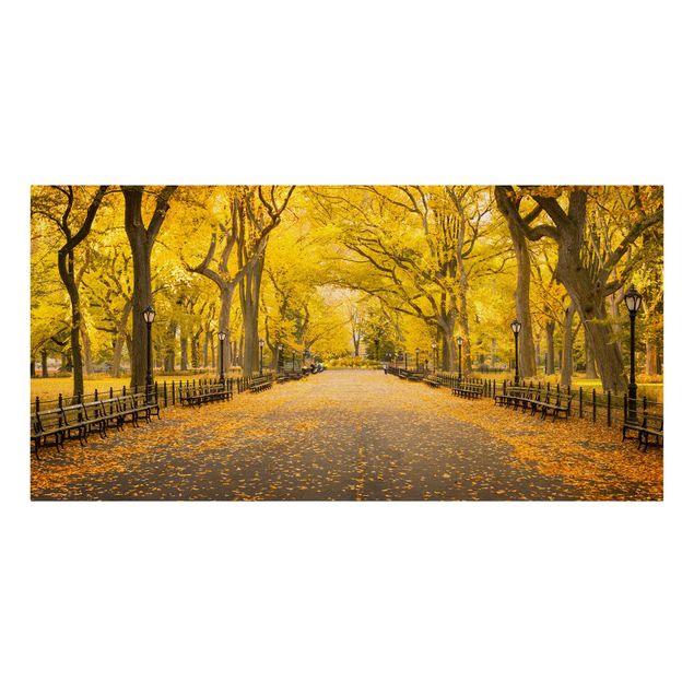 Obrazy Nowy Jork Jesień w Central Parku