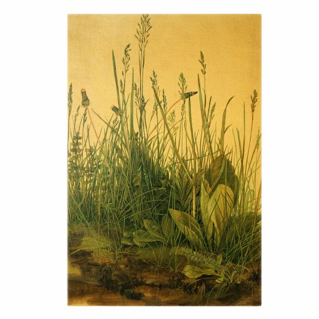Obrazy retro Albrecht Dürer - Wielki kawałek trawy
