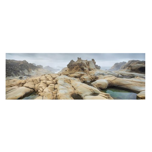 Obrazy na ścianę krajobrazy Salt Point State Park
