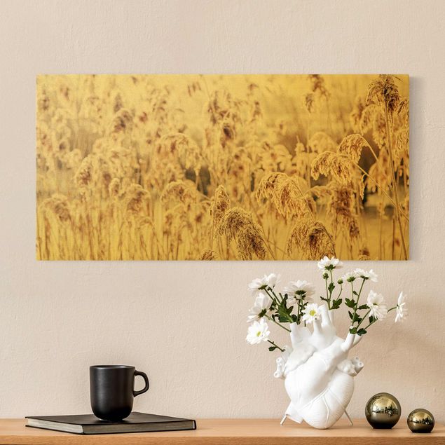 Obrazy z motywem kwiatowym Morze słonecznej trzciny