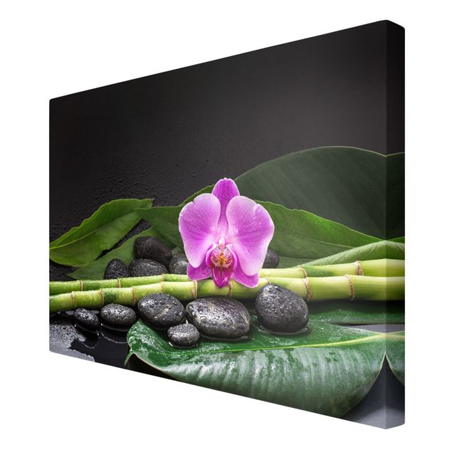 Obrazy bambus Zielony bambus z kwiatem orchidei