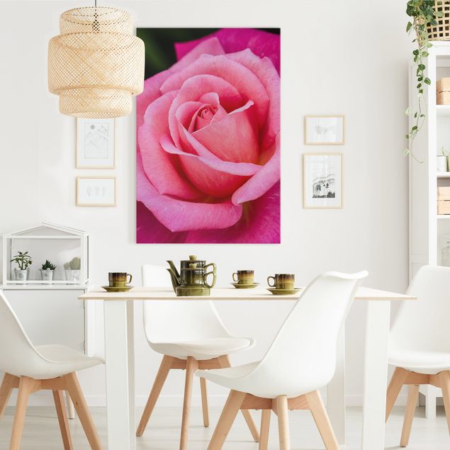 Obrazy na płótnie róże Kwiat różowej róży na tle zieleni