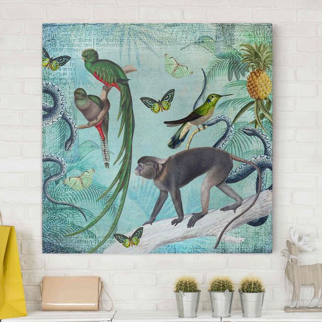 Małpa obraz Kolaże w stylu kolonialnym - małpy i rajskie ptaki