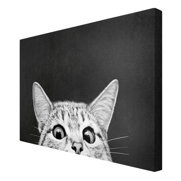 Obrazy zwierzęta Ilustracja kot czarno-biały rysunek