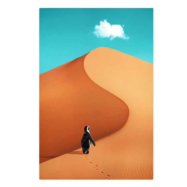 Zwierzęta obrazy Pustynia z pingwinem