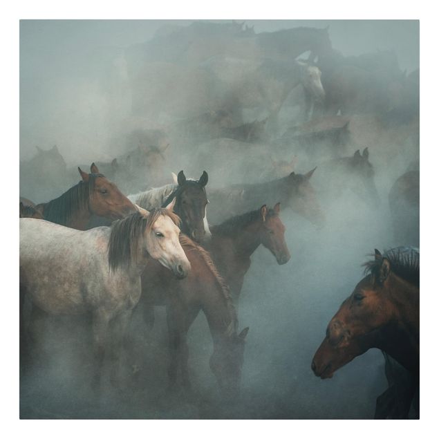 Obrazy zwierzęta Dzikie konie
