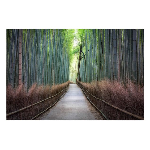 Obrazy bambus Ścieżka przez bambus