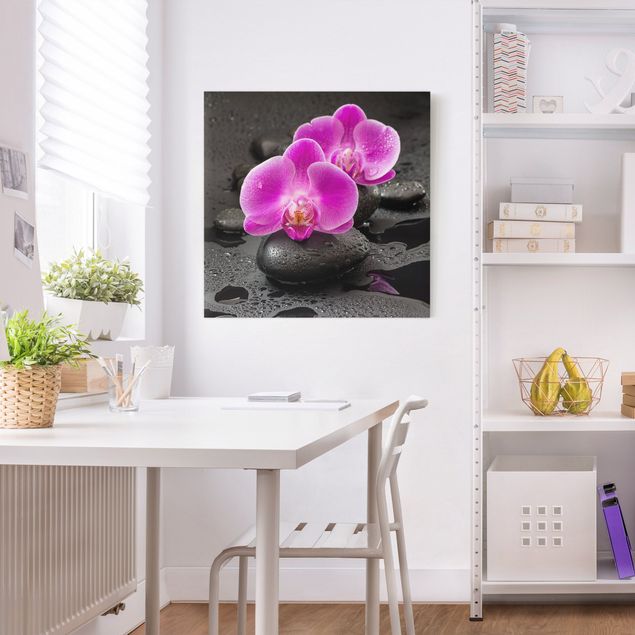 Obrazy na płótnie orchidea Kwiaty różowej orchidei na kamieniach z kroplami