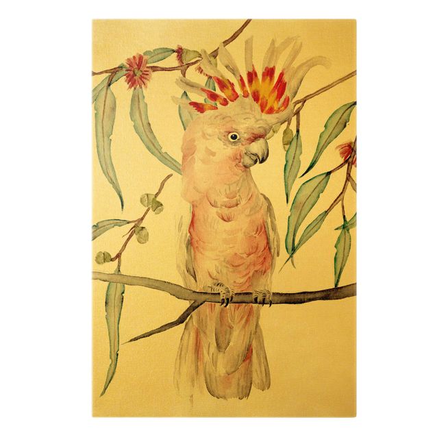 Obrazy na płótnie ptaki Kakadu z różowymi piórami