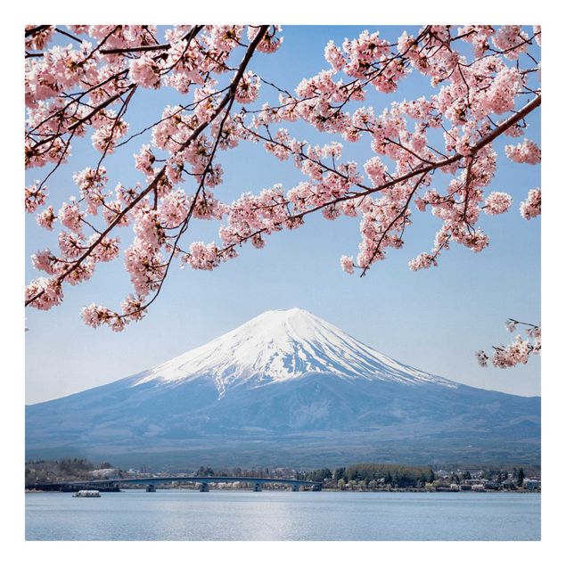 Obrazy nowoczesny Kwiaty wiśni z górą Fuji